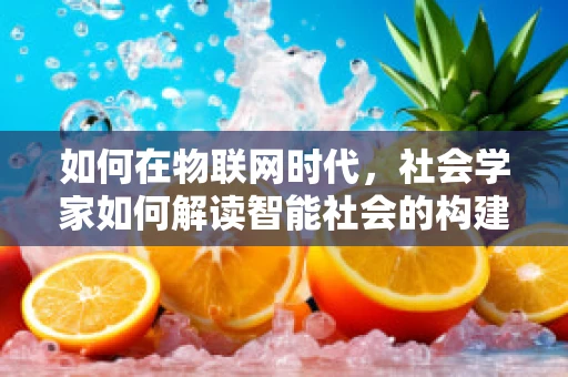 如何在物联网时代，社会学家如何解读智能社会的构建？