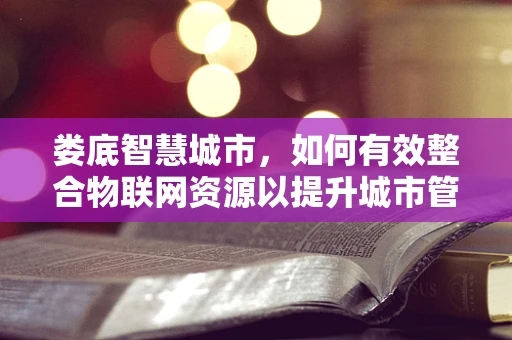 娄底智慧城市，如何有效整合物联网资源以提升城市管理效率？