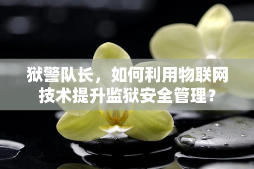狱警队长，如何利用物联网技术提升监狱安全管理？