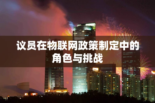 议员在物联网政策制定中的角色与挑战