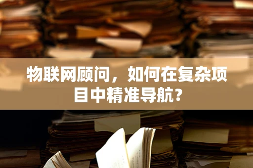 物联网顾问，如何在复杂项目中精准导航？