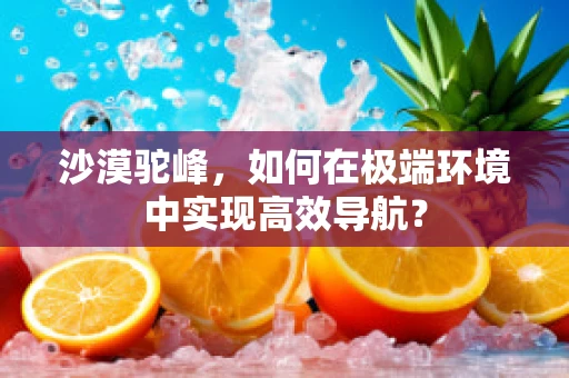 沙漠驼峰，如何在极端环境中实现高效导航？