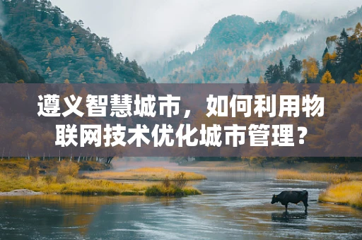 遵义智慧城市，如何利用物联网技术优化城市管理？