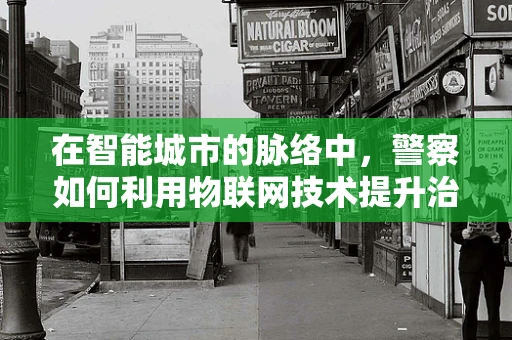 在智能城市的脉络中，警察如何利用物联网技术提升治安效率？