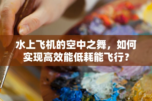 水上飞机的空中之舞，如何实现高效能低耗能飞行？