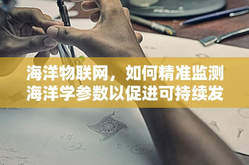 海洋物联网，如何精准监测海洋学参数以促进可持续发展？