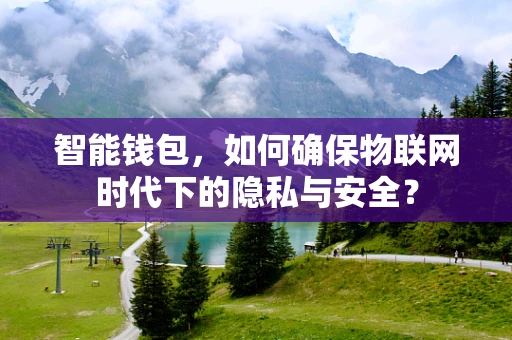 智能钱包，如何确保物联网时代下的隐私与安全？