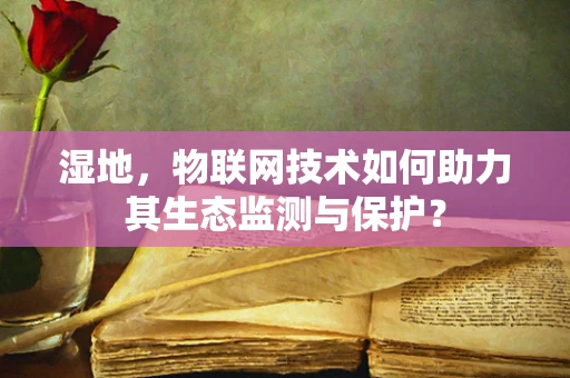 湿地，物联网技术如何助力其生态监测与保护？