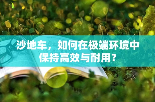沙地车，如何在极端环境中保持高效与耐用？