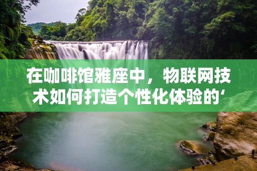 在咖啡馆雅座中，物联网技术如何打造个性化体验的‘隐形冠军’？