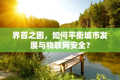 界首之困，如何平衡城市发展与物联网安全？