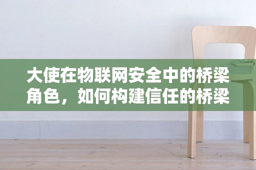 大使在物联网安全中的桥梁角色，如何构建信任的桥梁？