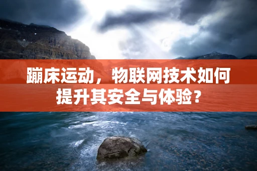 蹦床运动，物联网技术如何提升其安全与体验？
