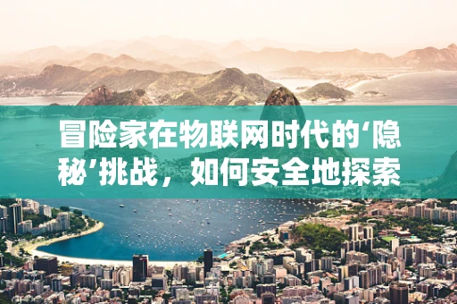 冒险家在物联网时代的‘隐秘’挑战，如何安全地探索未知？