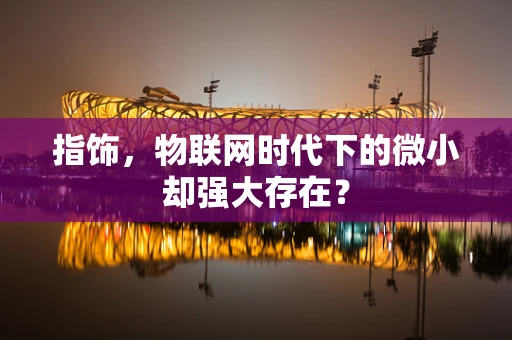 指饰，物联网时代下的微小却强大存在？