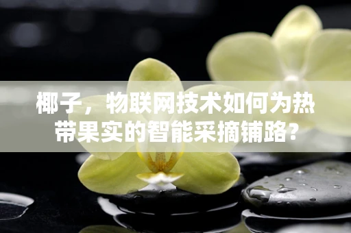 椰子，物联网技术如何为热带果实的智能采摘铺路？