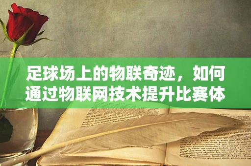 足球场上的物联奇迹，如何通过物联网技术提升比赛体验？