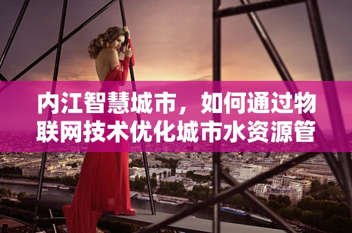 内江智慧城市，如何通过物联网技术优化城市水资源管理？