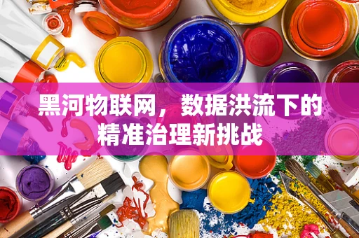 黑河物联网，数据洪流下的精准治理新挑战