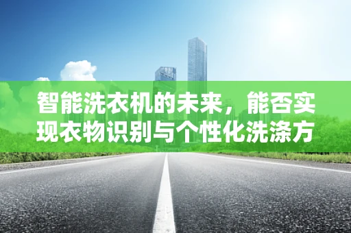 智能洗衣机的未来，能否实现衣物识别与个性化洗涤方案？