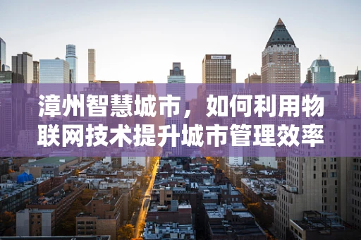 漳州智慧城市，如何利用物联网技术提升城市管理效率？