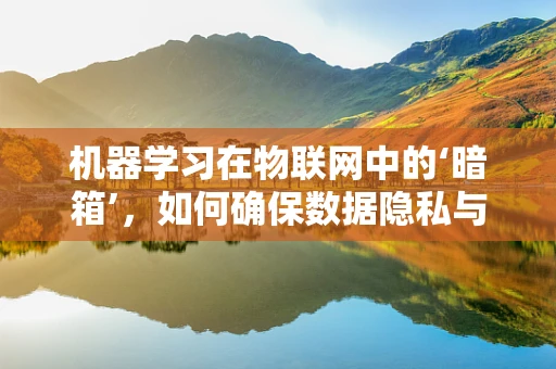 机器学习在物联网中的‘暗箱’，如何确保数据隐私与安全？