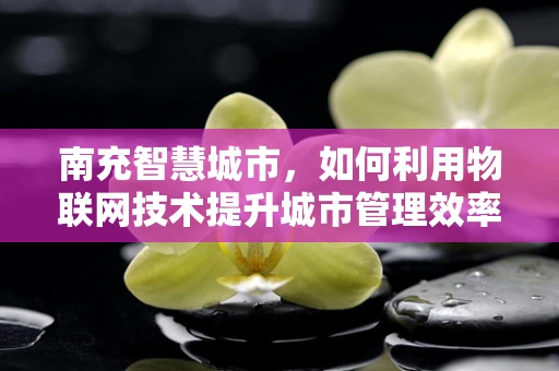 南充智慧城市，如何利用物联网技术提升城市管理效率？