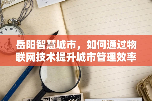 岳阳智慧城市，如何通过物联网技术提升城市管理效率？