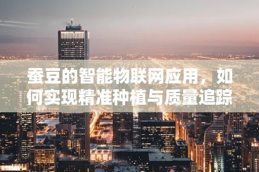 蚕豆的智能物联网应用，如何实现精准种植与质量追踪？