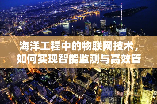 海洋工程中的物联网技术，如何实现智能监测与高效管理？