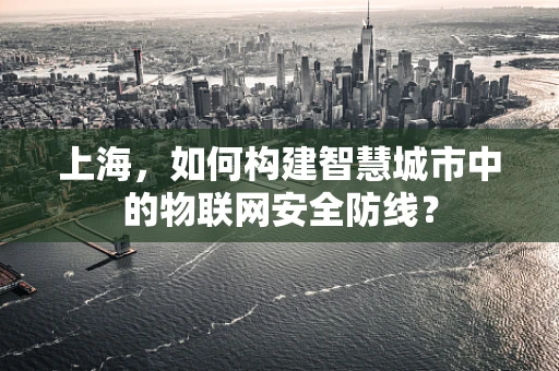 上海，如何构建智慧城市中的物联网安全防线？