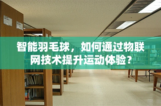 智能羽毛球，如何通过物联网技术提升运动体验？