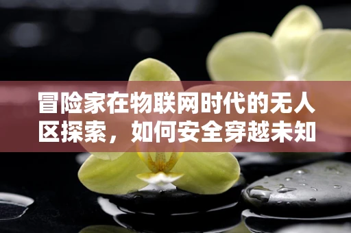 冒险家在物联网时代的无人区探索，如何安全穿越未知？