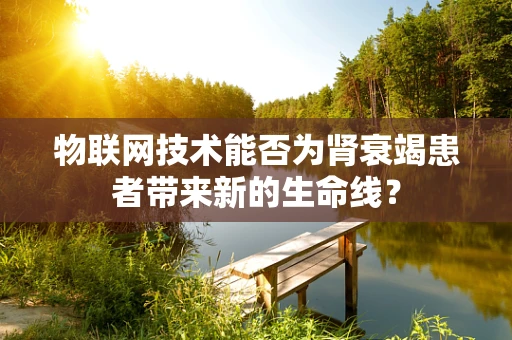 物联网技术能否为肾衰竭患者带来新的生命线？