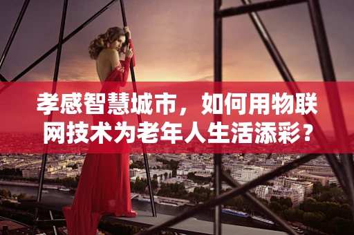 孝感智慧城市，如何用物联网技术为老年人生活添彩？