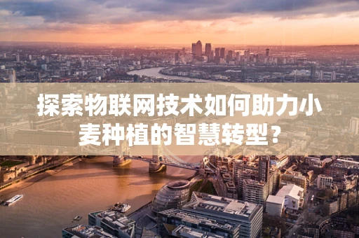 探索物联网技术如何助力小麦种植的智慧转型？