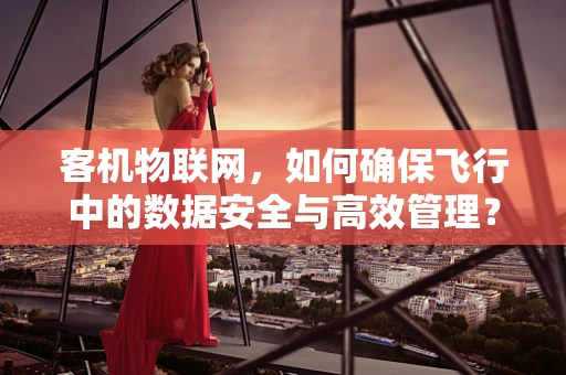 客机物联网，如何确保飞行中的数据安全与高效管理？