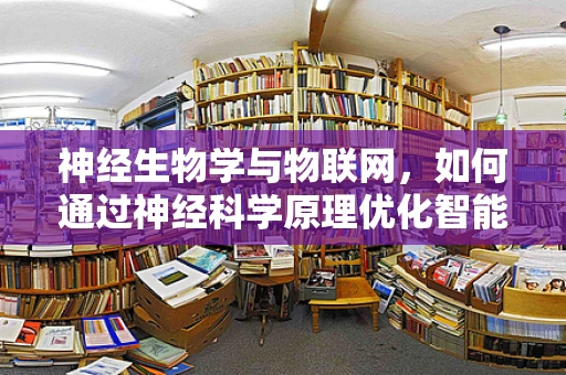 神经生物学与物联网，如何通过神经科学原理优化智能设备交互体验？