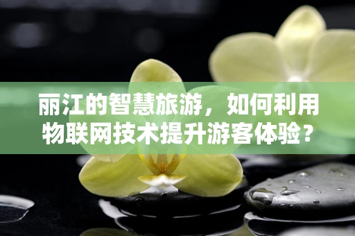 丽江的智慧旅游，如何利用物联网技术提升游客体验？