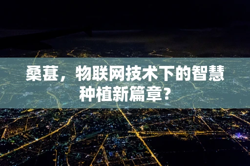桑葚，物联网技术下的智慧种植新篇章？