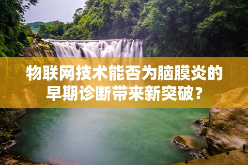 物联网技术能否为脑膜炎的早期诊断带来新突破？