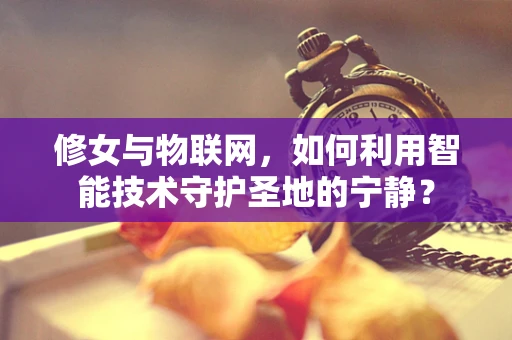 修女与物联网，如何利用智能技术守护圣地的宁静？