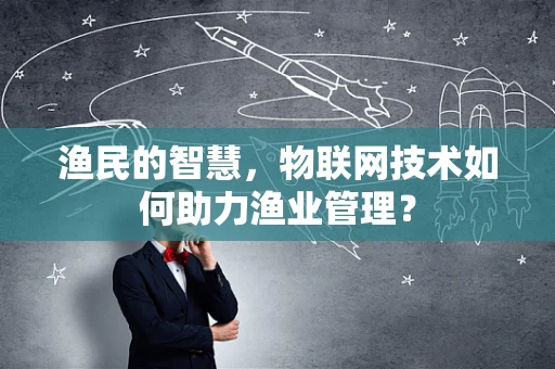 渔民的智慧，物联网技术如何助力渔业管理？