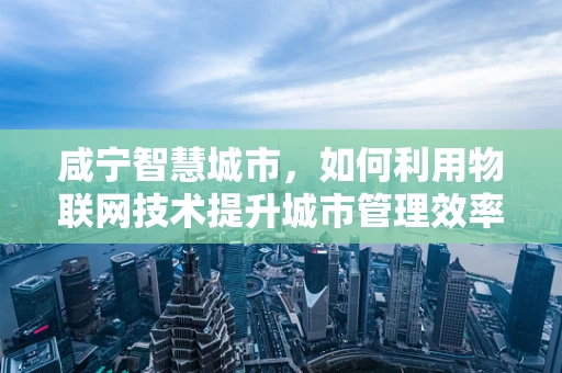 咸宁智慧城市，如何利用物联网技术提升城市管理效率？