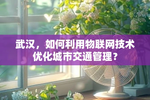 武汉，如何利用物联网技术优化城市交通管理？