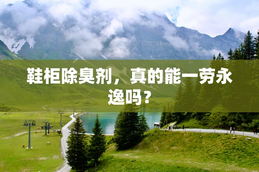 鞋柜除臭剂，真的能一劳永逸吗？