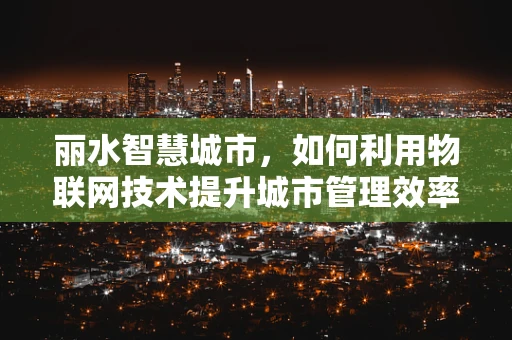 丽水智慧城市，如何利用物联网技术提升城市管理效率？