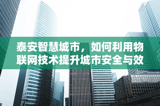 泰安智慧城市，如何利用物联网技术提升城市安全与效率？