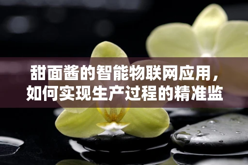 甜面酱的智能物联网应用，如何实现生产过程的精准监控？
