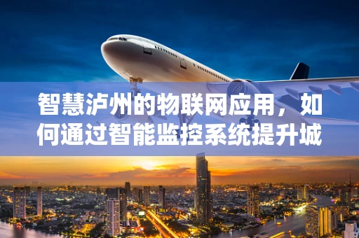 智慧泸州的物联网应用，如何通过智能监控系统提升城市管理效率？